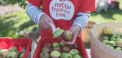 Not Far From The Tree Volunteer Washing Apples