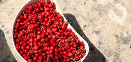 Urban Cherries Picked in Toronto