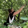 Woman reaching in the tree to pick serviceberries.